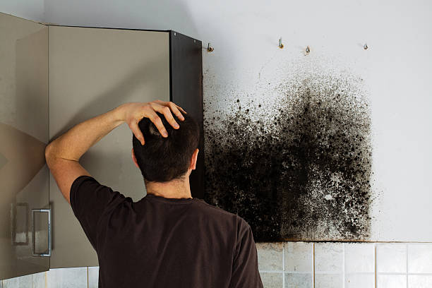  Scissors, TX Mold Removal Pros
